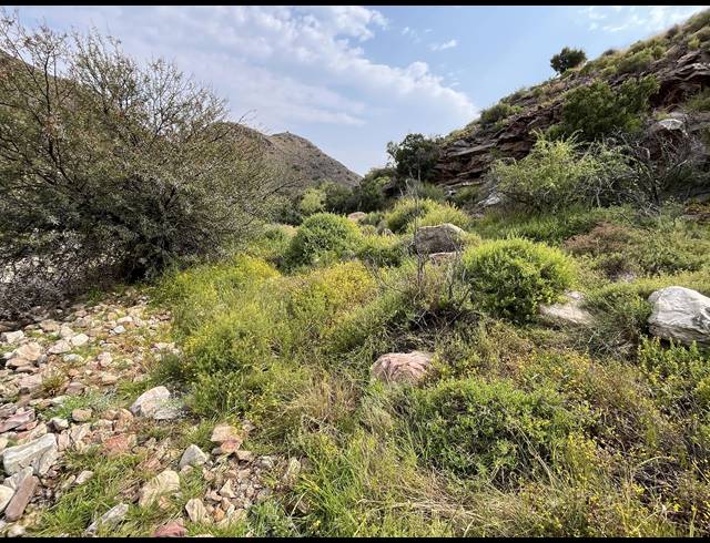 1,175HA FARM FOR SALE IN PRINCE ALBERT RURAL
